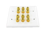 Six speaker wallplate